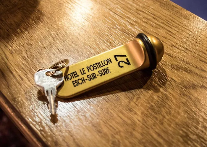 乐博斯蒂隆酒店 3* 苏勒河畔的埃斯克